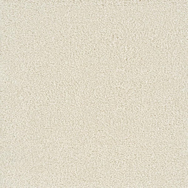 Home Decorators Collection Spicework I  - New Haven - Beige 40 oz. SD Polyester Texture Installed Carpet