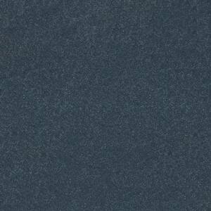 Blakely II - Neptun - Blue 52 oz High Performance Polyester Texture Installed Carpet