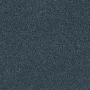 Blakely II - Neptune-Blue 12 ft. 52 oz. High Performance Polyester Texture Installed Carpet