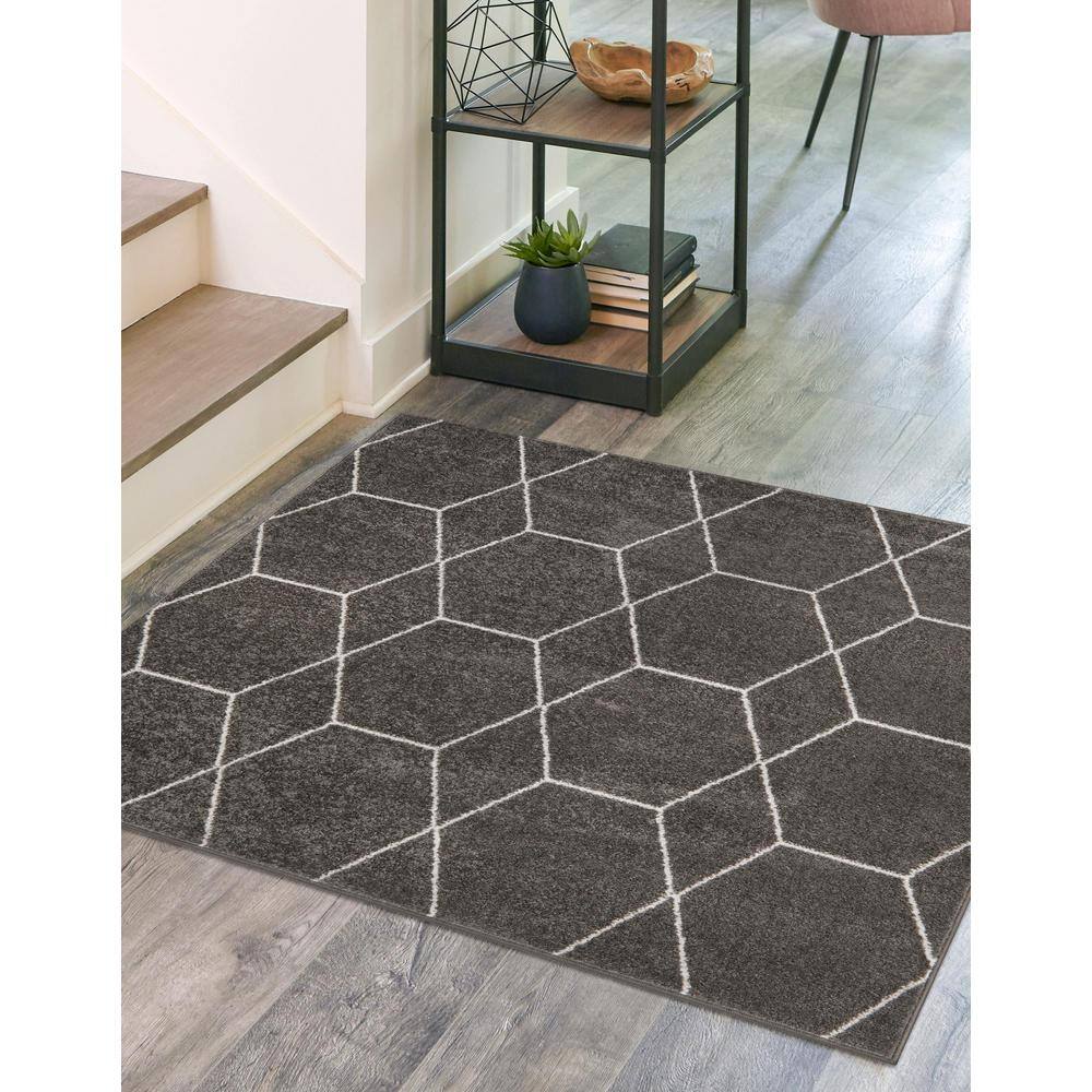 Trellis Frieze Dark Gray Square Synthetic Area Rug