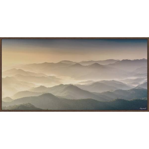 "Foggy Sunrise" by Marmont Hill Floater Framed Canvas Nature Art Print