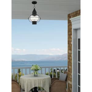 Hennington 16.75 in. 1-Light Black Dimmable Outdoor Pendant Light with Clear Glass and No Bulbs Included