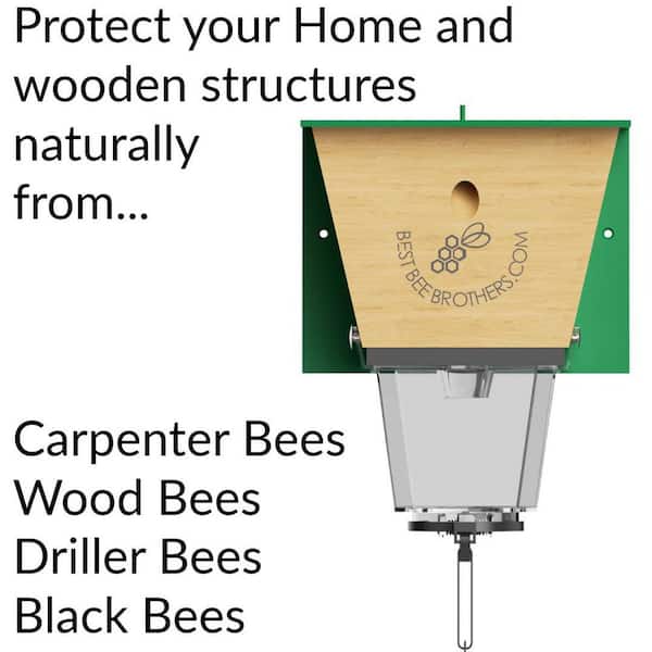 Best Bee Brothers Ultimate Pro Carpenter Bee Trap with Bee Vault