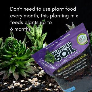 Wonder Soil Mix Per Cactus E Piante Grasse: 1,4 Kg Di Terreno Con Pomice E Fibra Di Cocco, Si Espande Fino A 6,8 Kg