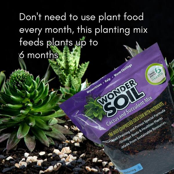 Wonder Soil Mix Per Cactus E Piante Grasse: 1,4 Kg Di Terreno Con Pomice E Fibra Di Cocco, Si Espande Fino A 6,8 Kg