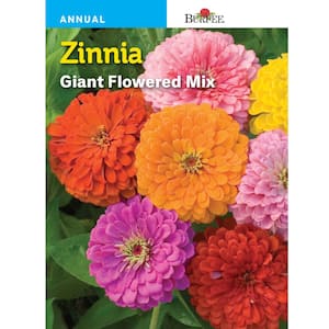 Zinnia Giant Flowered Mix Seed