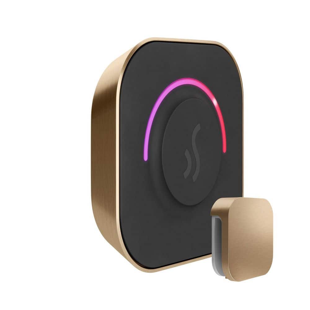 TempoTouch Steam Shower Control and Steamhead in Brushed Bronze