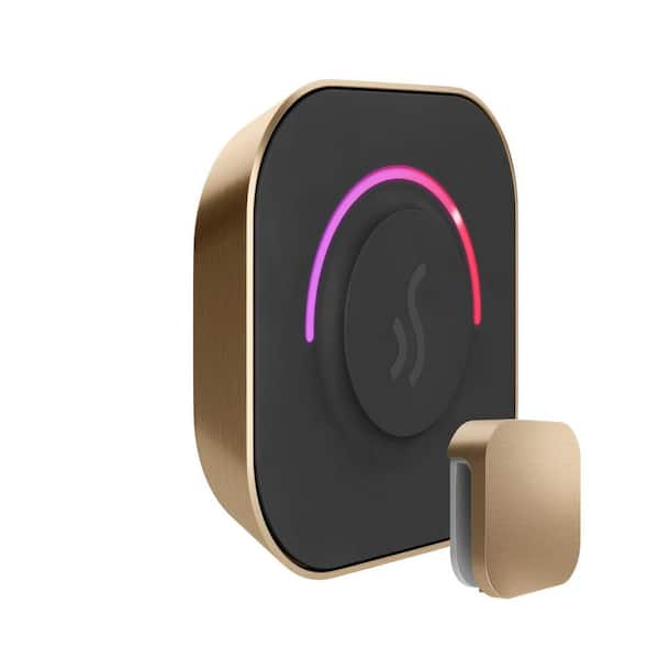 TempoTouch Steam Shower Control and Steamhead in Brushed Bronze