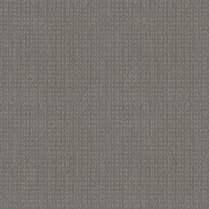 Boxton - Color Magnetic Indoor Pattern Gray Carpet