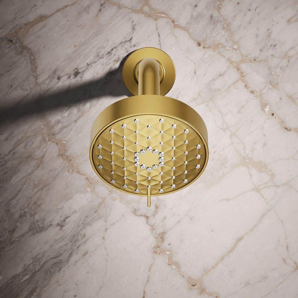 Vibrant Brushed Moderne Brass Wall Mounted Showerhead
