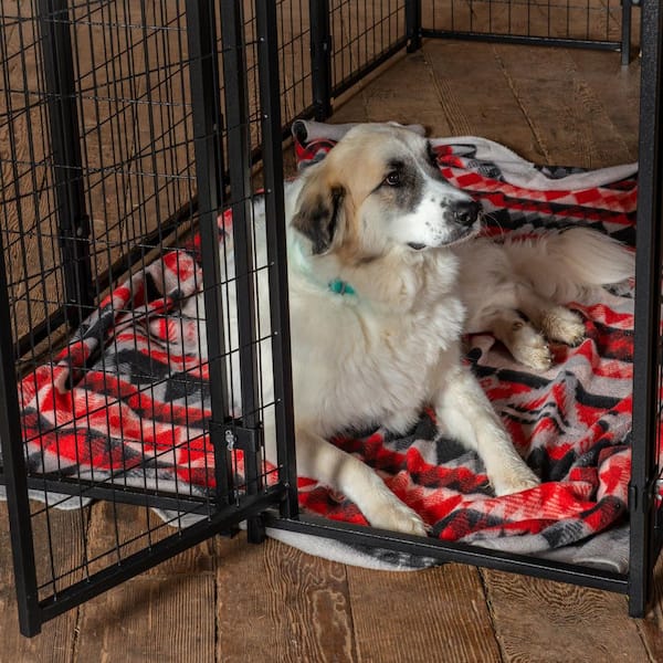 Lucky Dog Welded Style H x W Black Metal Welded Wire