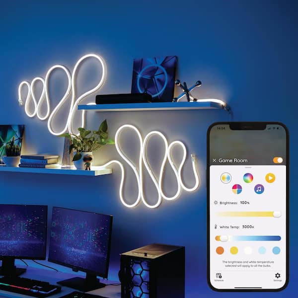 EcoSmart 16.4 ft. RGBWIC Dynamic Color Changing Dimmable Linkable Plug-In LED  Neon Flex Strip Light with Remote Control LR1321-RGBWIC-N - The Home Depot