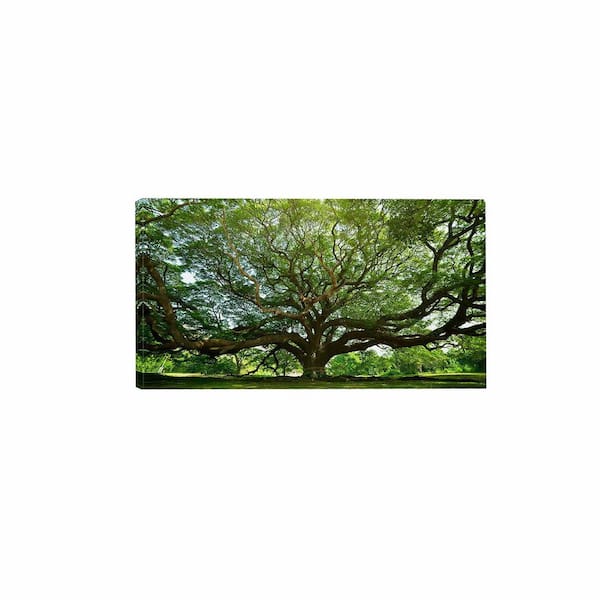 Large Nature Tree Art Wall Decor