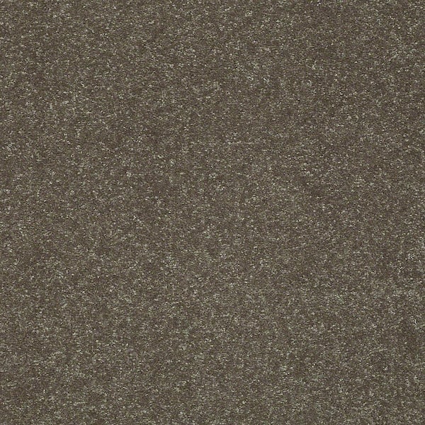Home Decorators Collection 8 in. x 8 in. Texture Carpet Sample - Full Bloom II - Color Cabana