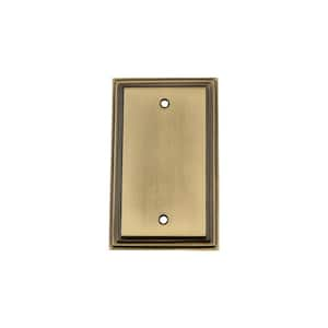 Brass No Gang Blank Plate Wall Plate (1-Pack)