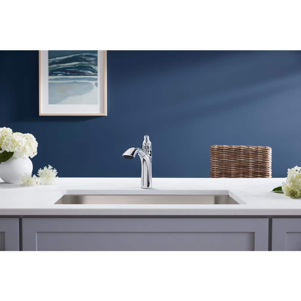 Polished Chrome Single-Handle Pull-Out Kitchen Faucet