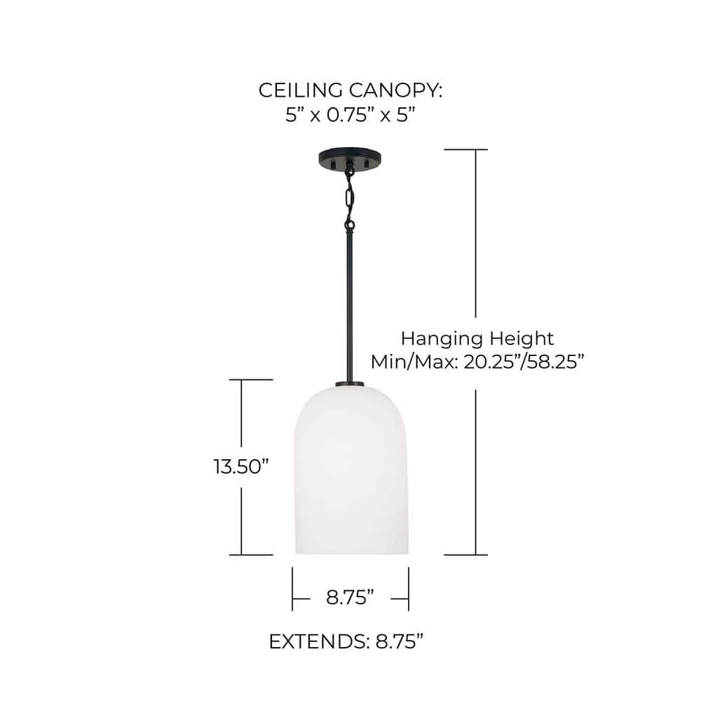 Matte Black Glass and Nickel Indoor/Outdoor Pendant Light