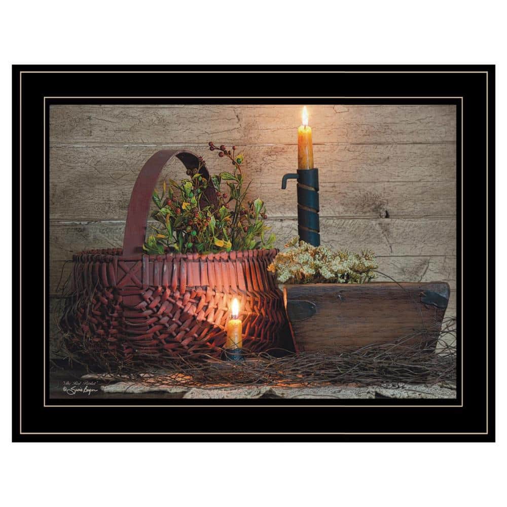 Charlie The Red Basket 1-Piece Framed Wall Art 15 in. x 19 in. price history on PriceWatchPro