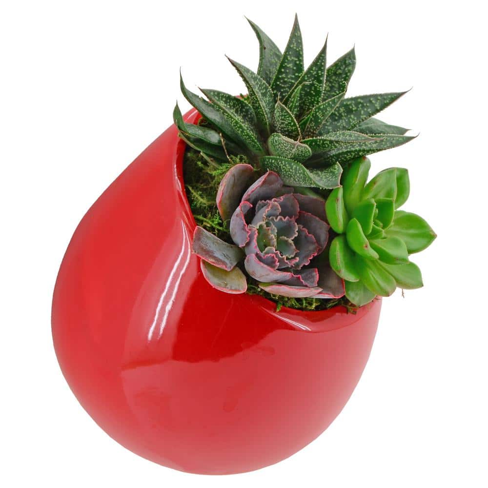 Small Red Ceramic Round Wall Planter Set