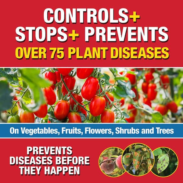 16 oz. Concentrate Fungicide