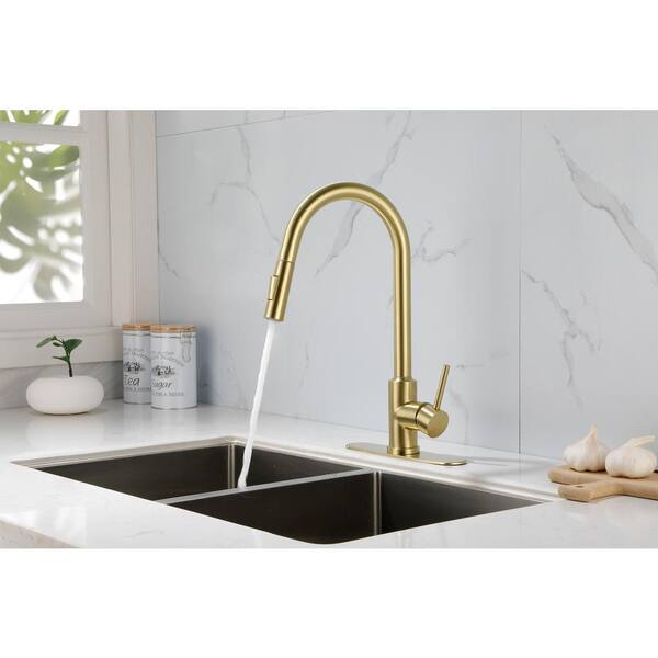 Tahanbath Single Handle Pull Down Sprayer Kitchen Faucet in