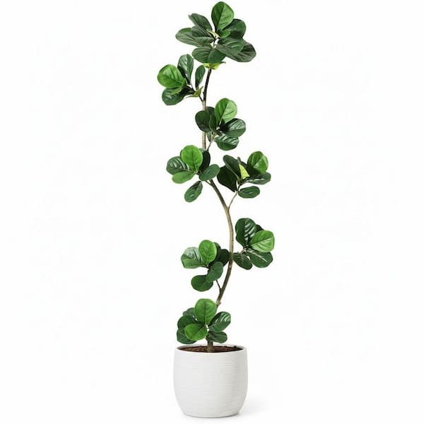 Unbranded 7 ft Artificial Fiddle Leaf Fig Tree Indoor Faux Plant with 59  Leaves in Black Nursery Planter for Home Office 59B1124C2112