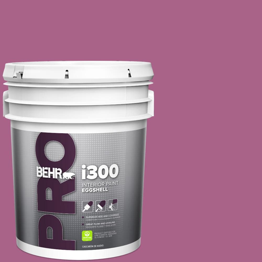5 gal. #690B-6 Wild Mulberry Eggshell Interior Paint price history on PriceWatchPro