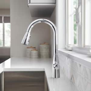 Fairbury 2S Single-Handle Pull-Down Sprayer Kitchen Faucet in Polished Chrome