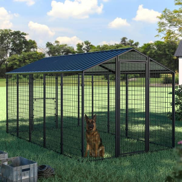 10.5 ft. x 6.2 ft. Outdoor Large Dog Kennel, Chicken Pen with Galvanized Metal Roof for Medium and Large Dogs