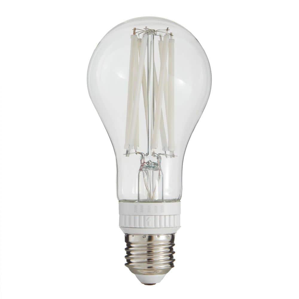 Pack de 2 ampoules LED E27 A60 Hue - White Ambiance