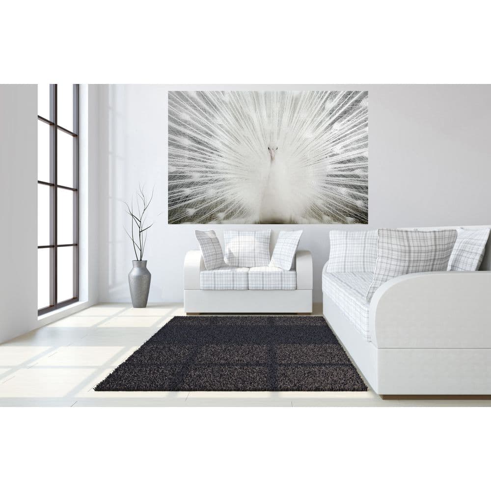 1-Piece Unframed Animal Graphic Art 40 in. x 60 in. price history on PriceWatchPro