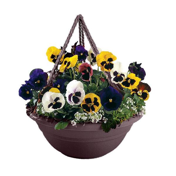 Bloem 17 in. Exotica Plastic Milano Hanging Basket (12-Pack)