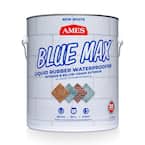 Ames Research Laboratories AMES BMX1WRG 1 galón Blue Max, impermeable  blanco, uso regular en interiores y selladores de hormigón exterior por  debajo