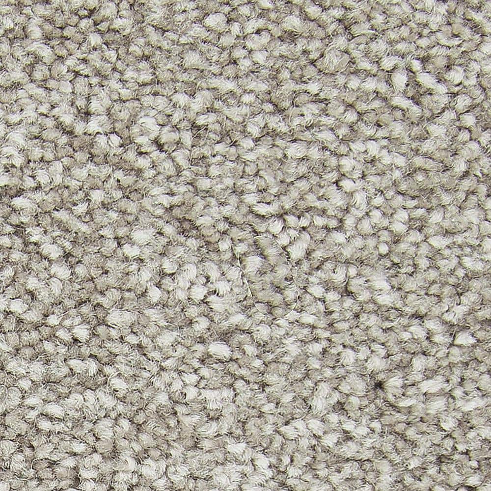 8 in. x 8 in. Texture Carpet Sample - Gentle Peace II -Color Essence price history on PriceWatchPro