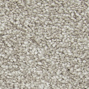 8 in. x 8 in. Texture Carpet Sample - Gentle Peace II -Color Essence