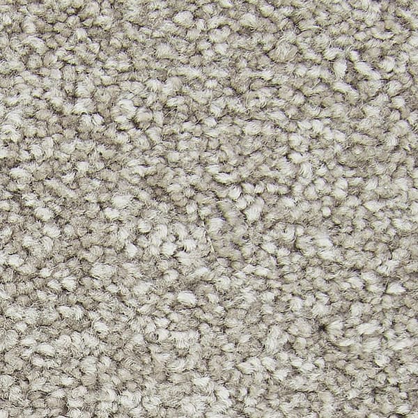 Lifeproof with Petproof Technology 8 in. x 8 in. Texture Carpet Sample - Gentle Peace II -Color Essence