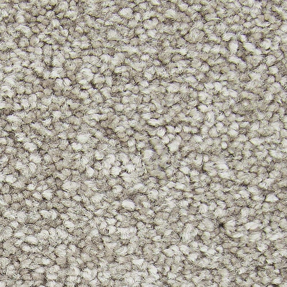 FloorEver PetPlus Capri Coastline Polyester Carpet - Textured