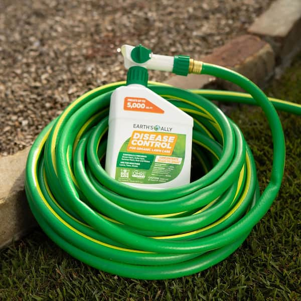 Red Thread Organic Lawn Disease Control