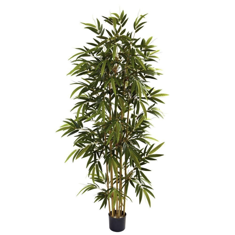 Maia Shop Bamboo, Artificial Tree with Natural Canes, Made with The Best  Materials, Ideal for Home Decoration, Artificial Plant 5 feet Tall - 60  inches