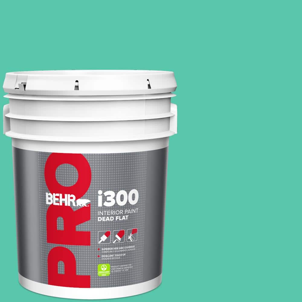 5 gal. #480B-4 Shoreline Green Dead Flat Interior Paint price history on PriceWatchPro