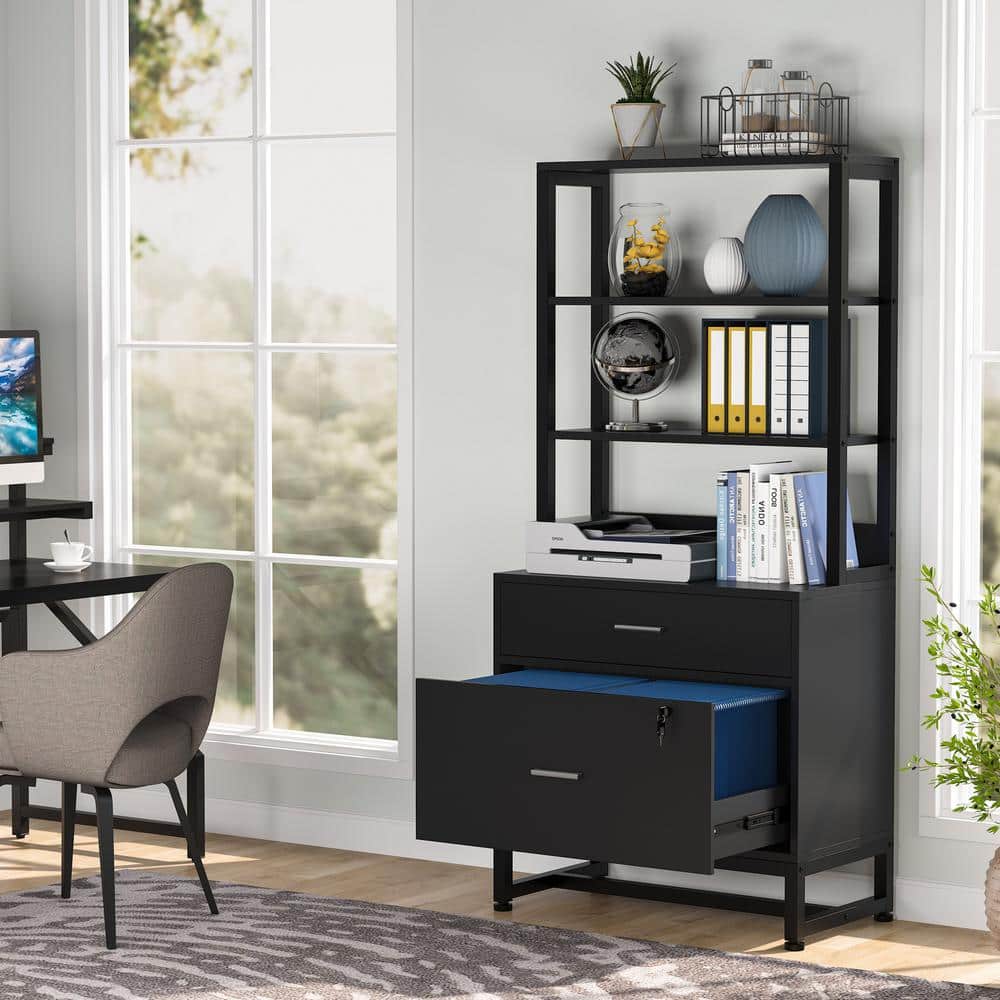 Black Vertical 2-Drawer Lockable File Cabinet with Shelves