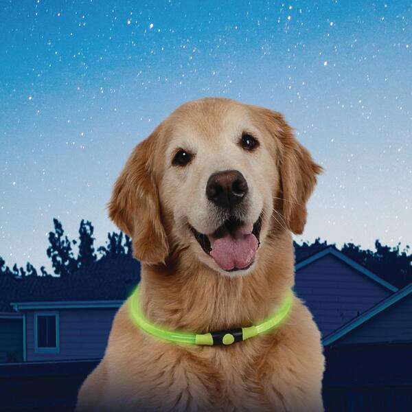 vi Yo riflettente LED Pet Dog Collar LED lampeggiante cane sicurezza collare in nylon luminoso Night Pet Necklacesee quando il tuo Dogcat is in the Dark