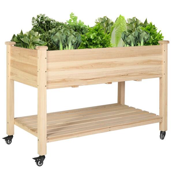 VEFSU Vegetable Seedling Pot Rectangular Tray and Soaking for Leaf Inserting Patio & Garden Wreath for Outside　並行輸入品