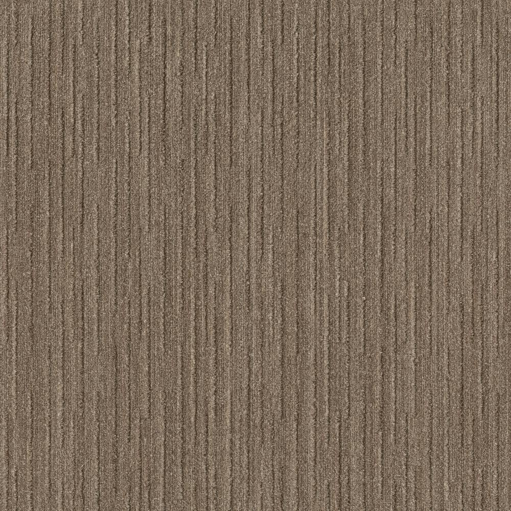 8 in. x 8 in. Pattern Carpet Sample - Port Isabel - Color Ashlar price history on PriceWatchPro