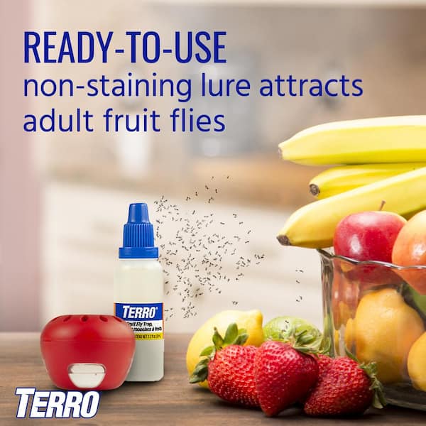 TERRO Ready-to-Use Indoor Fruit Fly Traps with Bait (2-Count