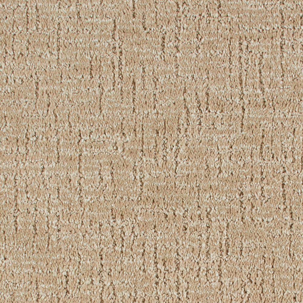 8 in. x 8 in. Pattern Carpet Sample - Truse -Color Heirloom