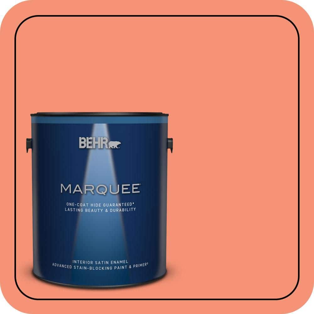 1 gal. #200B-5 Indian Dance Satin Enamel Interior Paint & Primer price history on PriceWatchPro