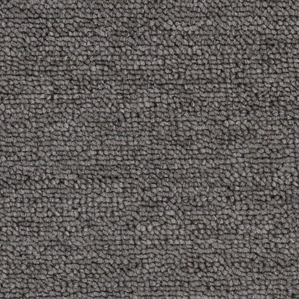 8 in. x 8 in. Loop Carpet Sample - Main Rail Base -Color Retreat price history on PriceWatchPro