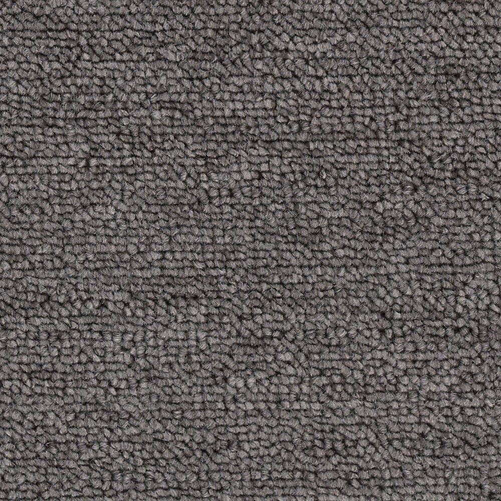 8 in. x 8 in. Loop Carpet Sample - Main Rail 20 -Color Retreat price history on PriceWatchPro