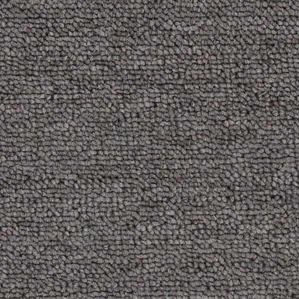 TrafficMaster 8 in. x 8 in. Loop Carpet Sample - Main Rail 26 -Color Retreat